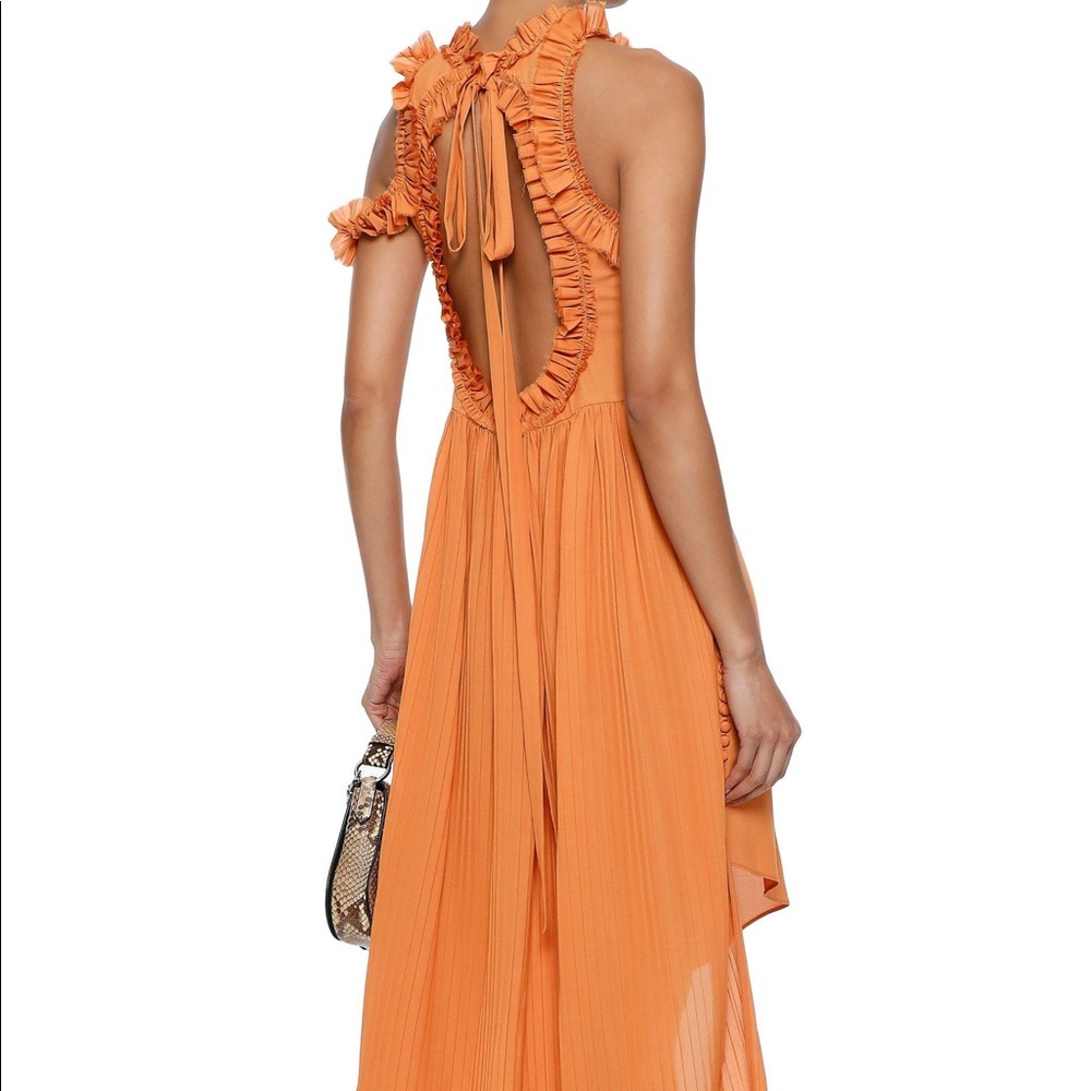 Magda Butrym Assisi Dress - Picture 3 of 11